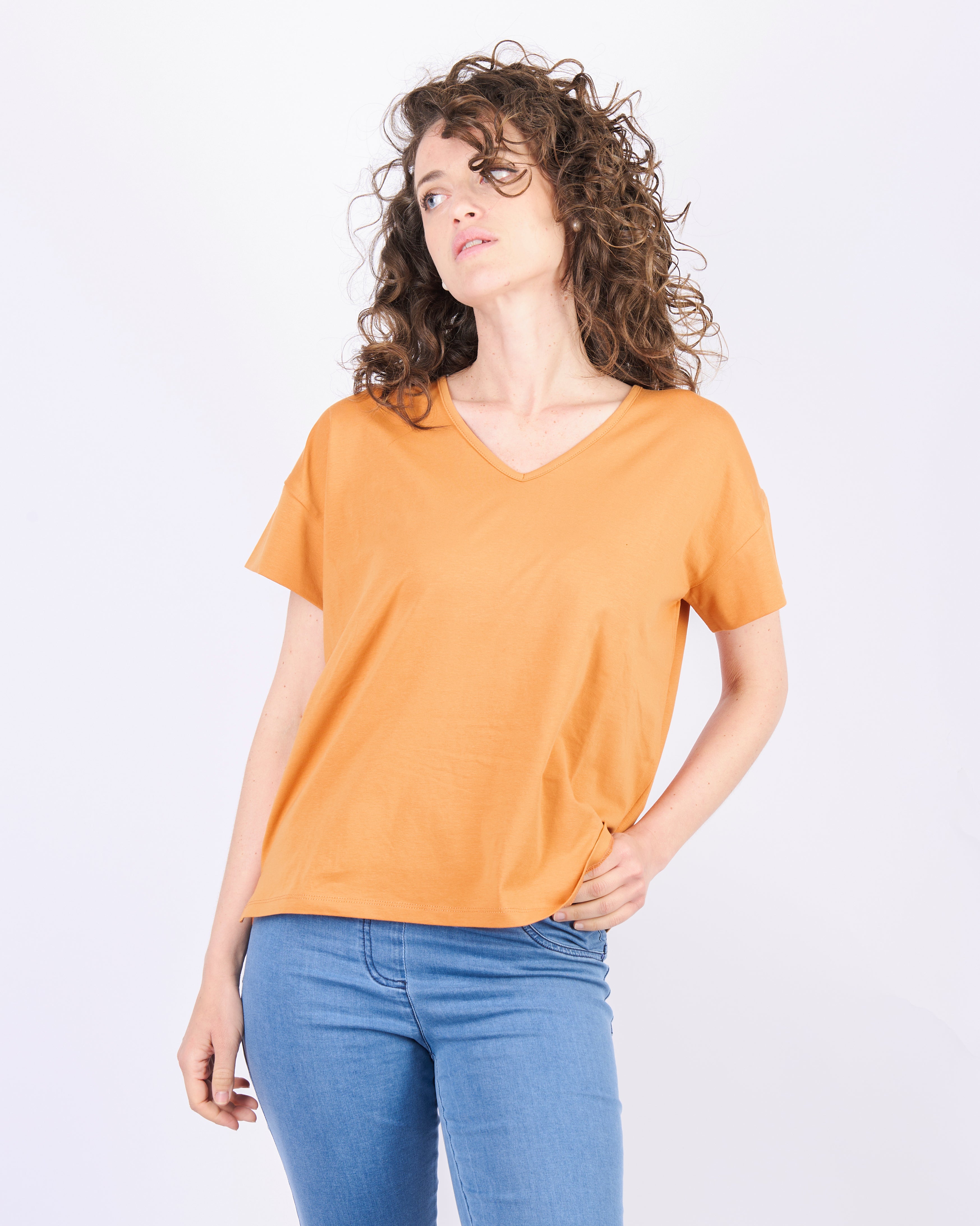 Maglia basica scollo a V 5036